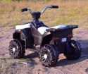 QUAD SPORT 1000 NA AKUMULATOR, DWA SILNIKI/MDX608