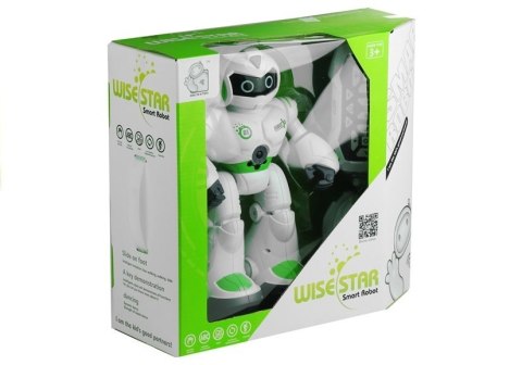 Robot Na Pilot Tańczy Chodzi Śpiewa Mówi Uczy Ang