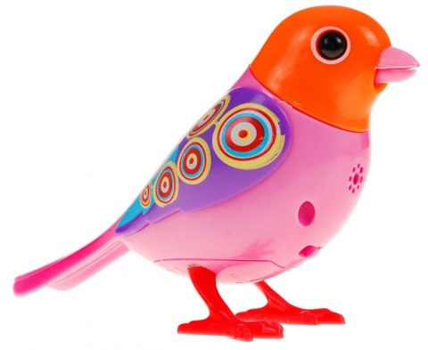 Ptaszek DigiBird Pomarańczowo - Różowy