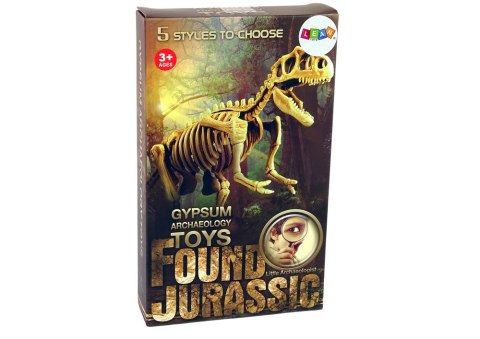 Zestaw Archeologiczny Wykopaliska Dinozaur Czaszkogłowy