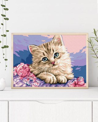 Malowanie po numerach 40x50 Niebieskooki kotek