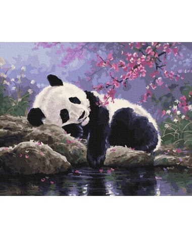 Malowanie po numerach 40x50 Panda na odpoczynku