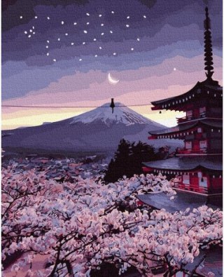 Malowanie po numerach 40x50 Wieczór w Japonii