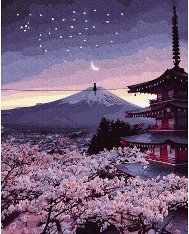 Malowanie po numerach 40x50 Wieczór w Japonii