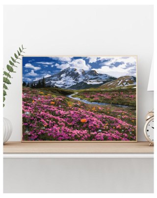 Malowanie po numerach 40x50 Wiosna w górach