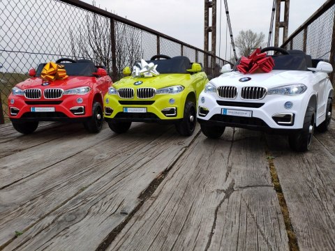 AUTO BMW X6 AKU 2 SILNIKI PILOT MP3 EVA TABLICE