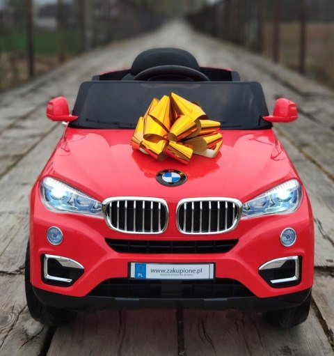 AUTO BMW X6 AKU 2 SILNIKI PILOT MP3 EVA TABLICE
