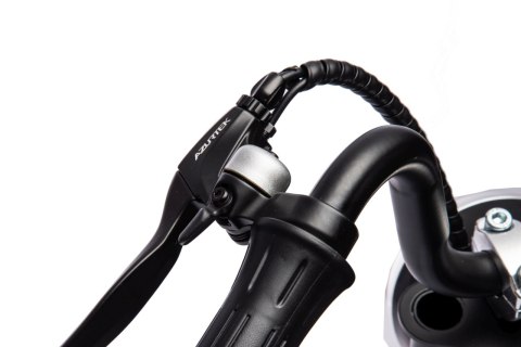 Motor CHOPPER FAST SPEED na akumulator 24V do 15km/h 80kg Czarny