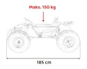 Wielkie BUGGY 2os. GENERAL do 150KG gokart do 25km/h Zielony