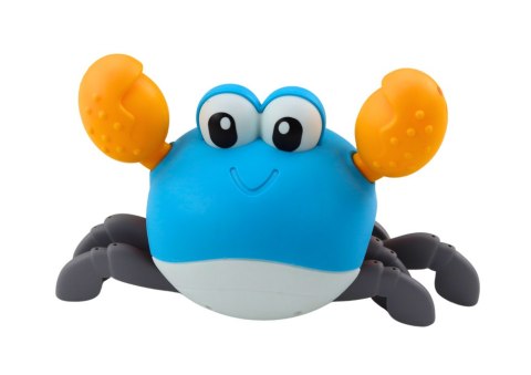 Krab chodzący niebieski