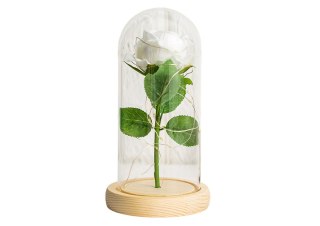 Wieczna Róża W Szkle Kopuła Oświetlenie Led Biała Prezent