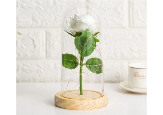 Wieczna Róża W Szkle Kopuła Oświetlenie Led Biała Prezent