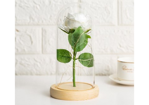 Wieczna Róża W Szkle Kopuła Oświetlenie Led Biała Prezent