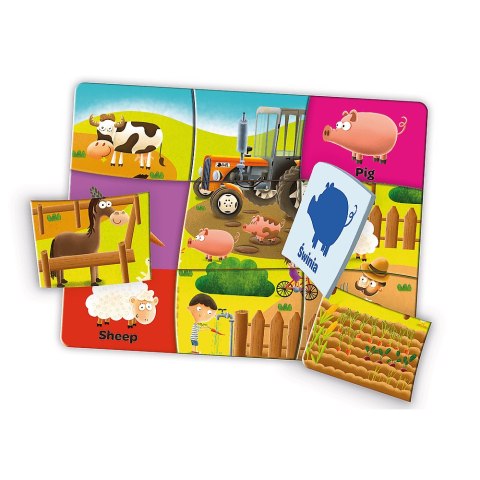 Gra Angielski dla przedszkolaka z Serii Mały Odkrywca 01949