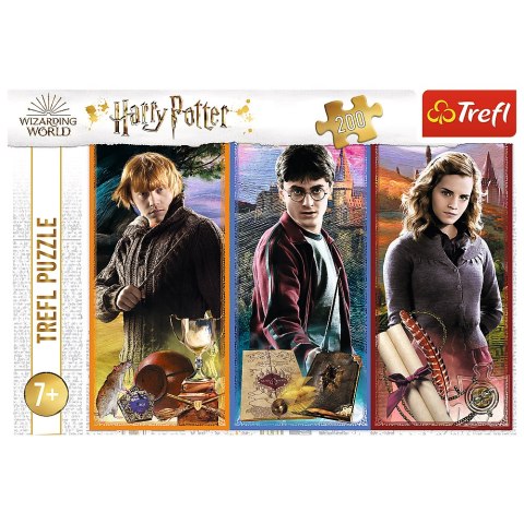 Puzzle Harry Potter 200 el. W świecie magii i czarów 13277