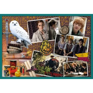 Puzzle 10w1 Harry Potter W świecie Harrego Pottera 90392
