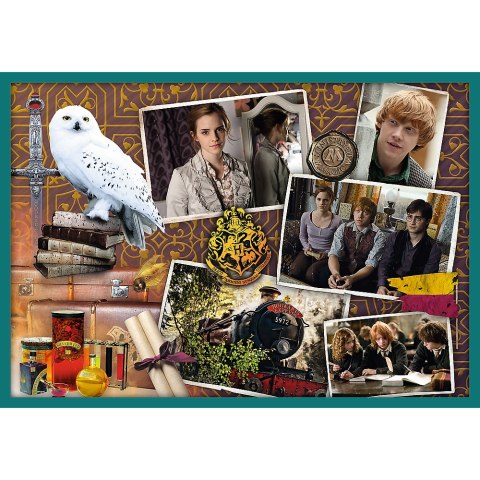 Puzzle 10w1 Harry Potter W świecie Harrego Pottera 90392