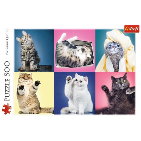 Puzzle 500 el. Kociaki 37377