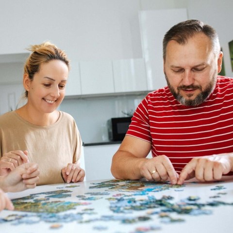 Puzzle Hidden Shapes - Kocie wakacje 10674