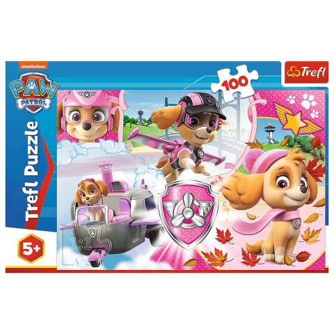 Puzzle - 100 - Skye w akcji - Viacom Paw Patrol 16368