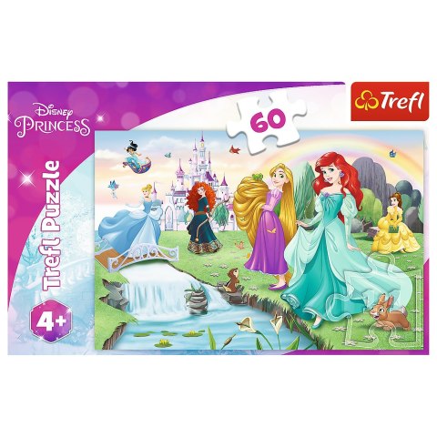 Puzzle - 60 - Poznaj Księżniczki - Disney Princess 17361