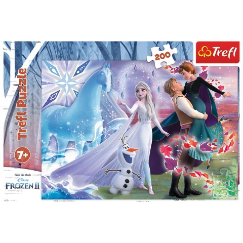 Puzzle - 200 - Magiczny świat sióstr - Disney Frozen 2 13265