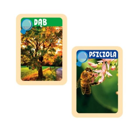 Naukowa Zabawa. Odkrycia Natury. Lab. Junior Clementoni 50714