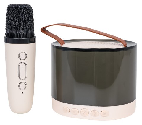 Zestaw Karaoke Mikrofon + Podświetlany Głośnik