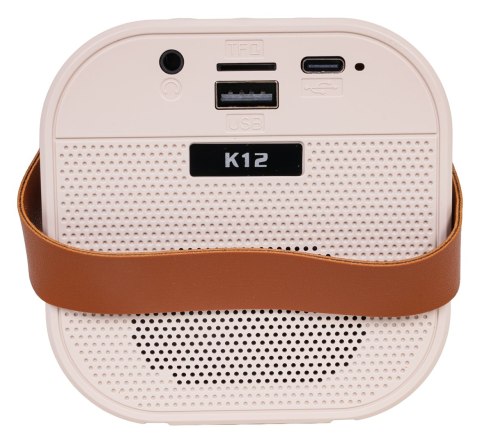 Zestaw Karaoke Mikrofon i Głośnik