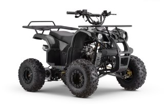 Pojazd Quad Spalinowy WILDPEAK 110cc Czarny