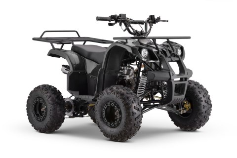 Pojazd Quad Spalinowy WILDPEAK 110cc Czarny