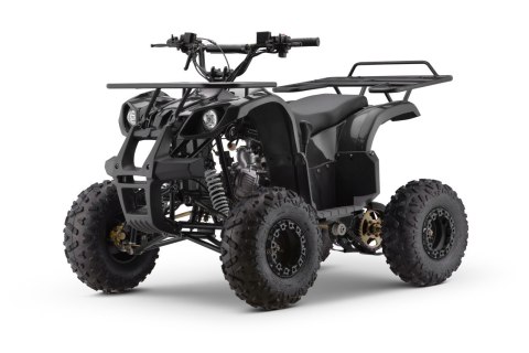 Pojazd Quad Spalinowy WILDPEAK 110cc Czarny