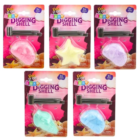 Morski Zestaw Archeologiczny Morskie Skamieniałości Muszle Narzędzia