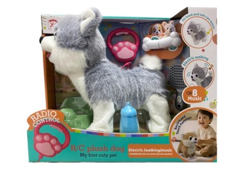 Piesek Husky Sterowany z Pilota + Akcesoria