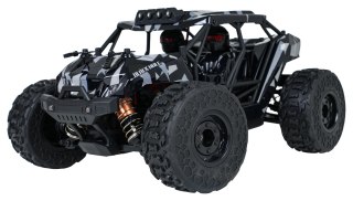 Autko R/C 2,4GHz MONSTER