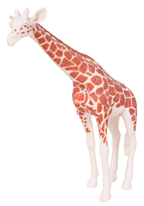 Zestaw Zwierząt Safari 6el.