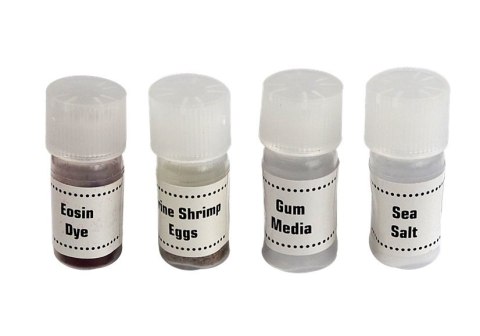 Mikroskop Dziecięcy w Walizce 28 elementów