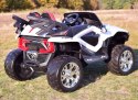 MEGA BUGGY D-MAX 4X4, FUNKCJA BUJANIA, AMORTYZATORY, WIELOFUNKCYJNY PILOT/FB6678