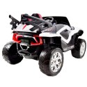 MEGA BUGGY D-MAX 4X4, FUNKCJA BUJANIA, AMORTYZATORY, WIELOFUNKCYJNY PILOT/FB6678