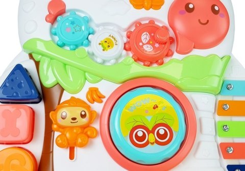 Pchacz Edukacyjny dla Niemowlęcia z interaktywnym mikrofonem