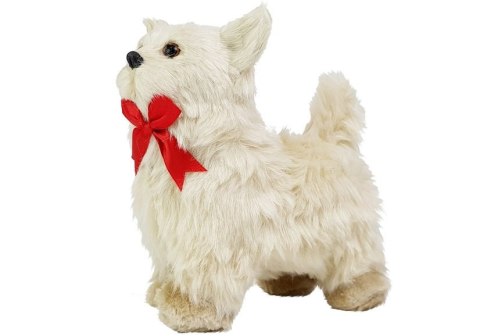 Pies Chihuahua Porusza się, Szczeka