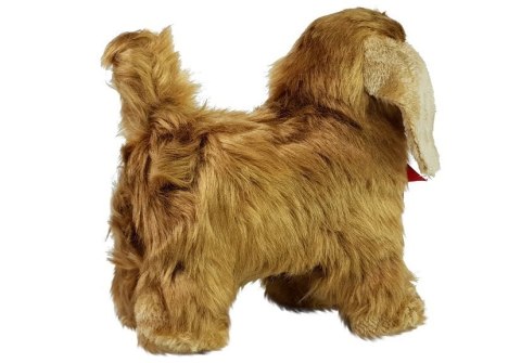 Pies Cocker Spaniel Porusza się, Szczeka