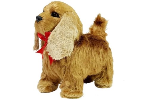Pies Cocker Spaniel Porusza się, Szczeka